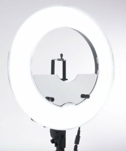 Tideandtrait.shop9de718fdbb 2